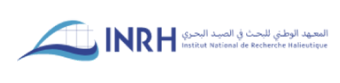 Logo 8