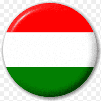 Pakistan Flag